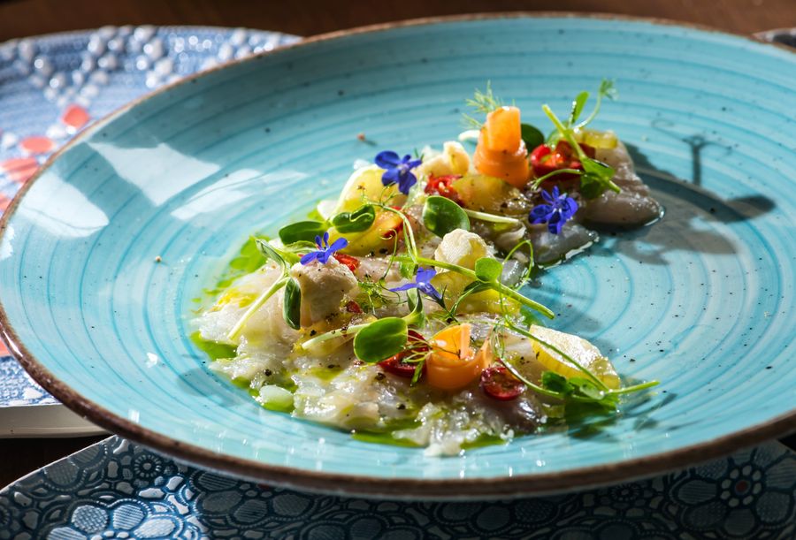 0O8JyzJt_Olive Oil Tasting 4 c.jpg